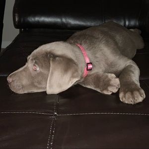 Meet your Posher, Christina